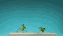 Mantis Jumping Insect GIF - Mantis Jumping Insect Jumping Bug GIFs