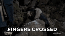 a countdown to christmas poster with a woman on a rock and the words fingers crossed
