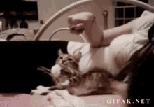 Like Hooman GIF - Cat Copying Hooman GIFs