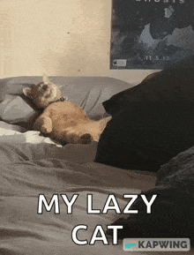Lazycat Lazy Cat GIF - Lazycat Lazy Cat Food Coma GIFs
