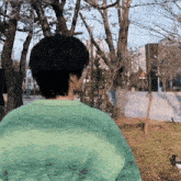 a person wearing a green sweater is standing in a park looking at trees .
