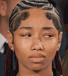 a close up of a girl 's face with braids