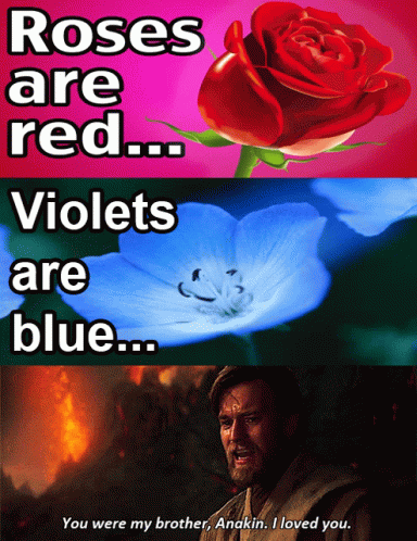 Roses Are Red Violets Are Blue GIF - Roses Are Red Violets Are Blue Blue Flower GIFs