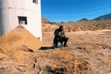 Wastelandweekend Wolf GIF - Wastelandweekend Wolf Of GIFs