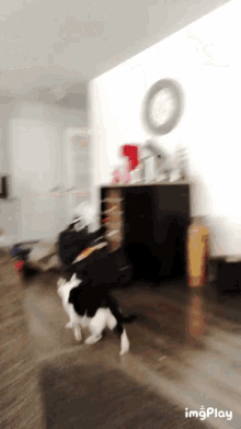 Running Cat GIF - Running Cat Hurry GIFs