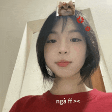 a girl with a picture of a cat on her head says nga ff >