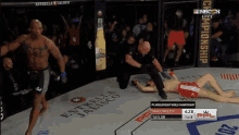 Knocked Out Knocked Down GIF - Knocked Out Knocked Down Victory GIFs