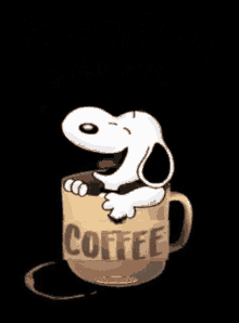 Tuesday Coffee GIF - Tuesday Coffee GIFs