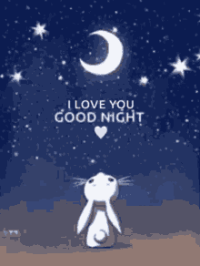 Good Nigt Good Night GIF - Good Nigt Good Night GIFs