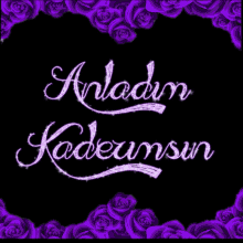 Anladim Kaderimsin GIF - Anladim Kaderimsin GIFs