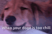 Doge Chill GIF - Doge Chill Sunglasses Meme GIFs