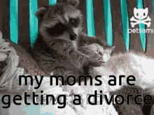My Moms Are Getting A Divorce Divorce GIF - My Moms Are Getting A Divorce Divorce Raccoon GIFs