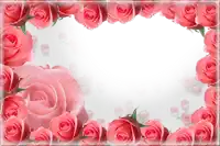 a heart shaped frame with pink roses and a white background