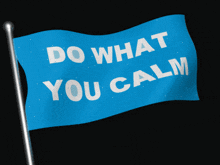 Do What You Calm Flag GIF - Do What You Calm Flag Calm GIFs