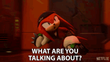 What Are You Talking About Knuckles The Echidna GIF - What Are You Talking About Knuckles The Echidna Sonic Prime GIFs