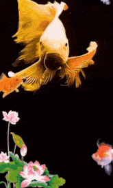 a painting of a goldfish swimming in a pond with flowers .