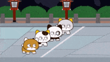 Tama And Friends Race GIF - Tama And Friends Race Cats GIFs