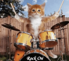 Motivational Poster Kitten Meme GIF - Motivational Poster Kitten Meme Rock On GIFs