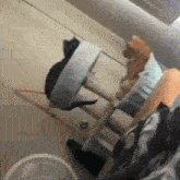 two cats are sitting on a couch in a room with a fan .