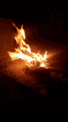 Fuego Fire GIF - Fuego Fire Bonfire GIFs