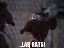 Lab Rats Rizzo GIF