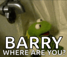 kermit the frog is in a bathtub with the words barry where are you written above him