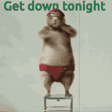 Hamster Get Down GIF - Hamster Get Down Tonight GIFs