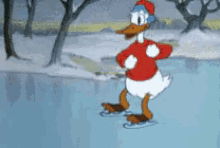 唐老鸭 滑雪 搞笑 动画 GIF - Don Donald Fauntleroy Duck Funny GIFs