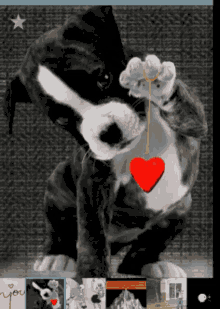 love you dog heart