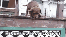 Me Jumping To Conclusions Assume GIF - Me Jumping To Conclusions Assume Guessing GIFs