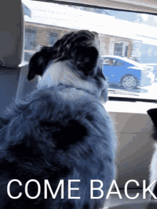 Lainey Come Back GIF - Lainey Come Back Howl In Car GIFs