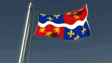 a red white and blue flag with yellow fleurs de lis on it