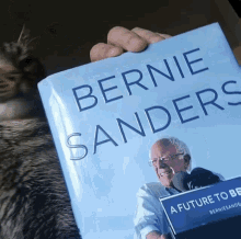 Cat Bernie GIF