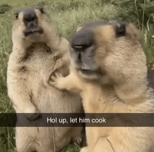 Let Him Cook Hol Up GIF - Let him cook Hol up - Discover & Share GIFs