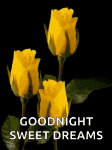 Sweet Dreams Goodnight GIF - Sweet Dreams Goodnight Flowers GIFs