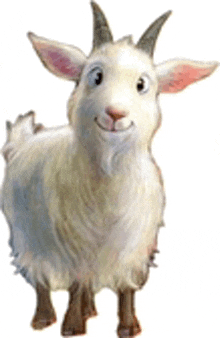 Goat White Goat W Horns GIF