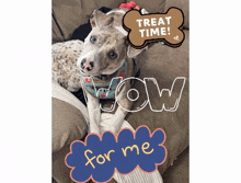 spoiled gottabuydogtreats