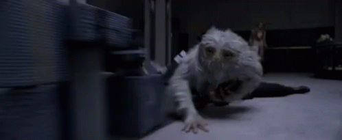 Running GIF - Demiguise Running Fantastic Beasts And Where To Find Them GIFs