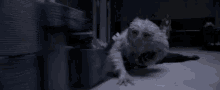 Running GIF - Demiguise Running Fantastic Beasts And Where To Find Them GIFs