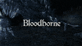 a video game called bloodborne is being played on a brick street