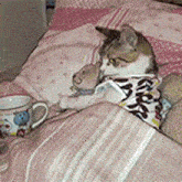 a cat is laying on a bed with a teddy bear and a cup next to it