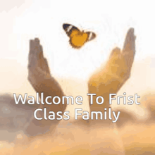 a welcome to frist class family poster with a butterfly in the background