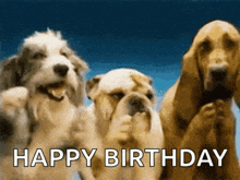 three dogs standing next to each other with the words happy birthday written on the bottom .