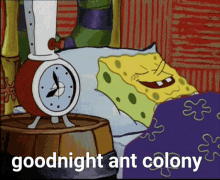Goodnight Ant GIF - Goodnight Ant Colony GIFs