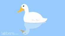 Duck Clear Water GIF - Duck Clear Water Reflection GIFs