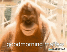 Goodmorning Maffew Maffy GIF - Goodmorning Maffew Maffy GIFs