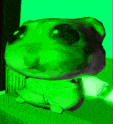 a green frog is sitting on a table