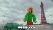 Superbloom Giant GIF - Superbloom Giant Sunflower GIFs