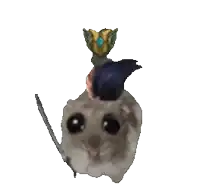 a hamster with a bird on its head and a sword in its hand