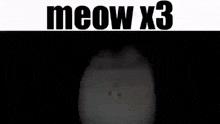 Meow Meow No More Meow GIF - Meow Meow No More Meow Sent To The Void GIFs